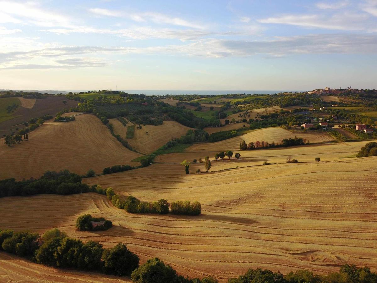 La Meriggia Agriturismo- Ampio Appartamento Con Terrazza Esclusiva อังโกนา ภายนอก รูปภาพ