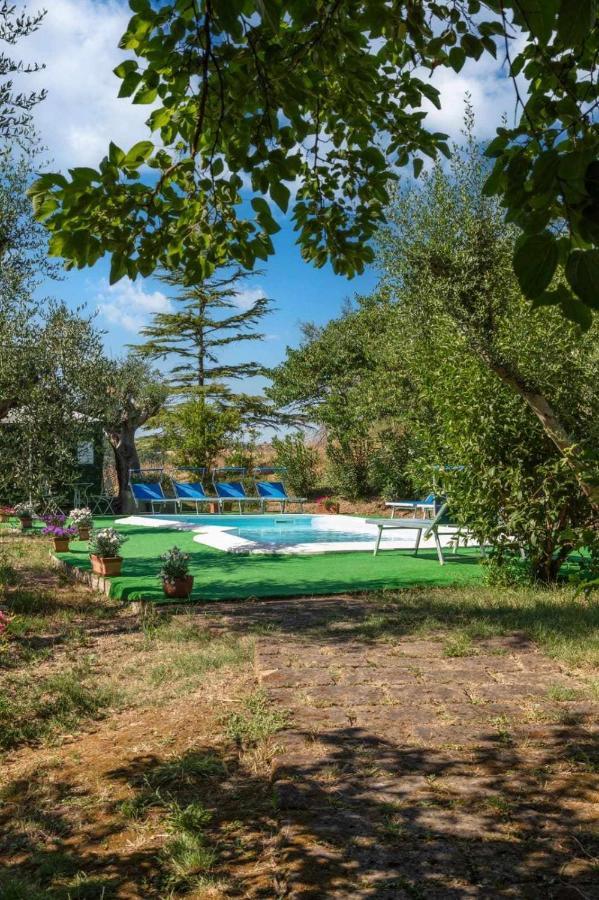 La Meriggia Agriturismo- Ampio Appartamento Con Terrazza Esclusiva อังโกนา ภายนอก รูปภาพ